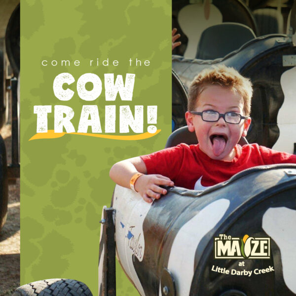 TheMaize-FB General Ads_2022-04 Cow Train